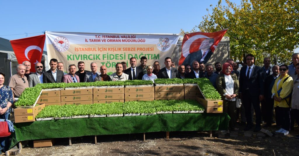 Kıvırcık fidesi dağıtımı yapıldı